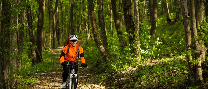 Cyclist in orange jersey Riding the Bike on the Trail in the Beautiful Summer Forest